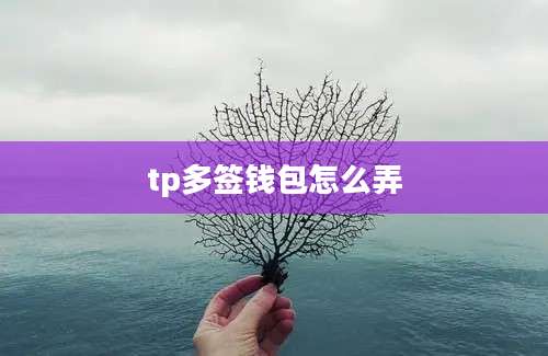 tp多签钱包怎么弄