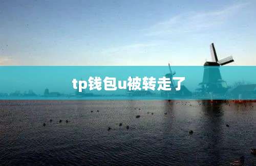 tp钱包u被转走了