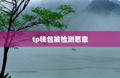 tp钱包被检测恶意
