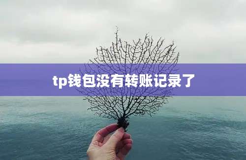 tp钱包没有转账记录了
