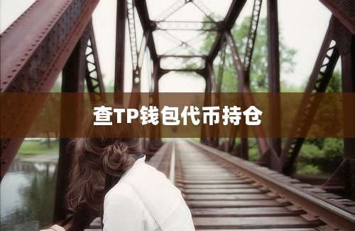 查TP钱包代币持仓