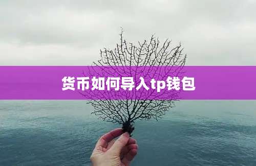 货币如何导入tp钱包
