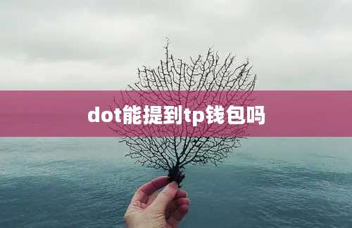 dot能提到tp钱包吗