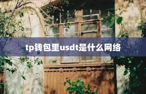 tp钱包里usdt是什么网络