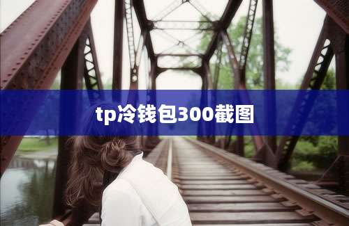 tp冷钱包300截图