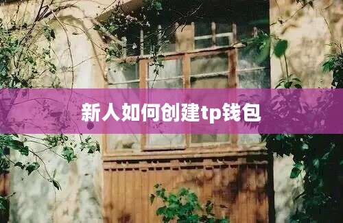 新人如何创建tp钱包