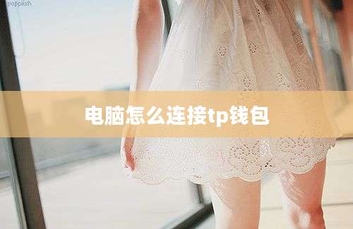 电脑怎么连接tp钱包