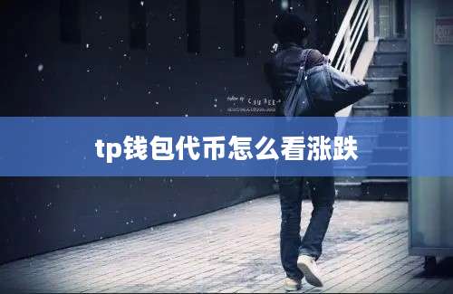 tp钱包代币怎么看涨跌