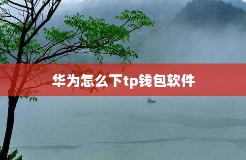 华为怎么下tp钱包软件