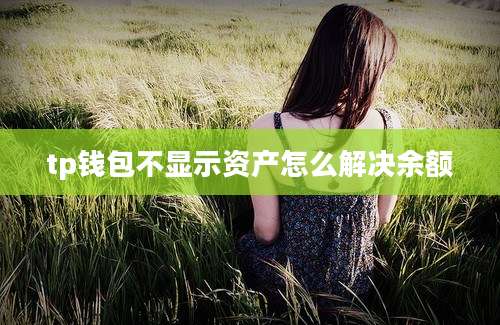 tp钱包不显示资产怎么解决余额