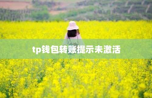 tp钱包转账提示未激活