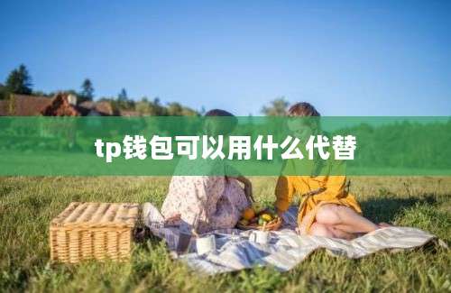 tp钱包可以用什么代替