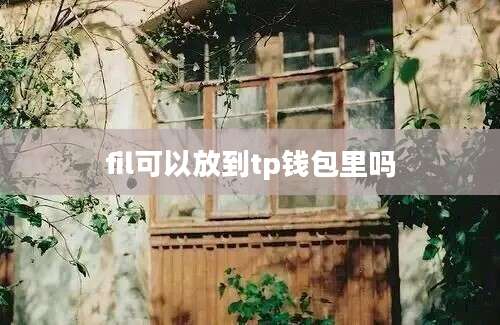 fil可以放到tp钱包里吗