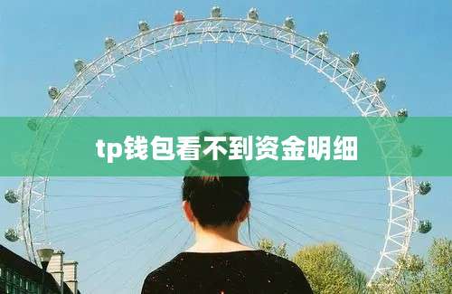 tp钱包看不到资金明细