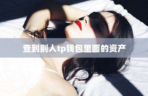 查到别人tp钱包里面的资产