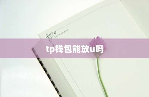 tp钱包能放u吗