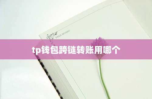 tp钱包跨链转账用哪个