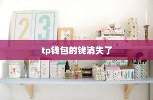 tp钱包的钱消失了