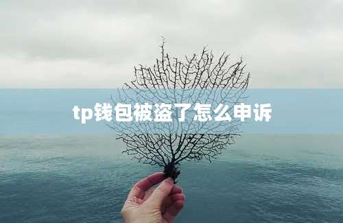 tp钱包被盗了怎么申诉