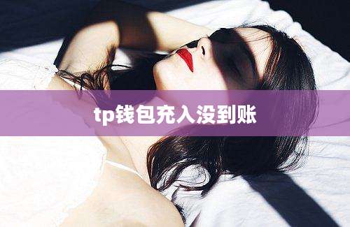 tp钱包充入没到账