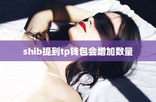 shib提到tp钱包会增加数量