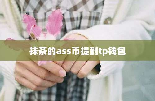 抹茶的ass币提到tp钱包