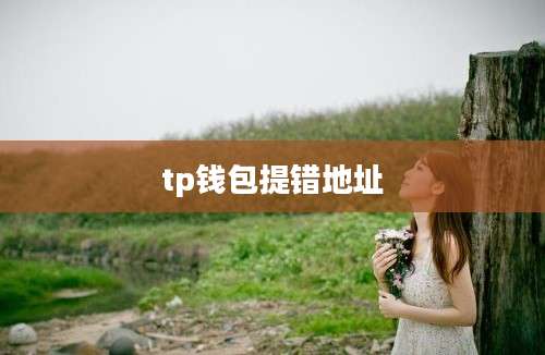 tp钱包提错地址