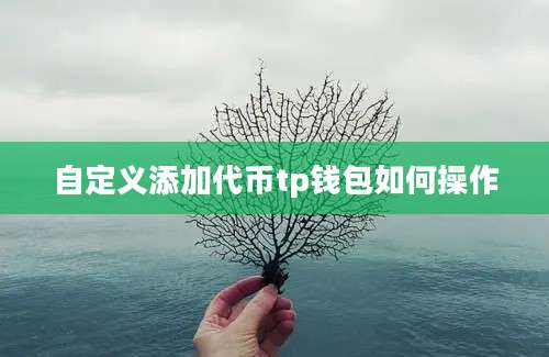 自定义添加代币tp钱包如何操作