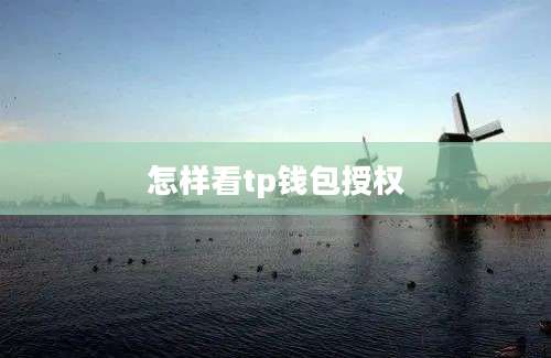 怎样看tp钱包授权