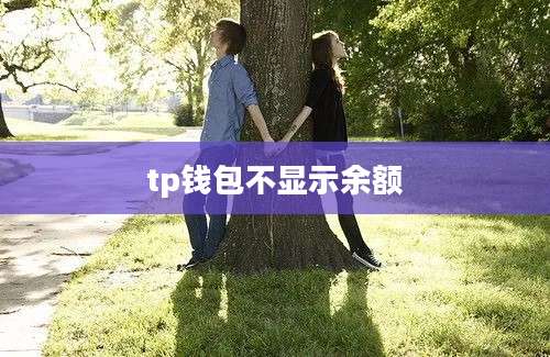 tp钱包不显示余额