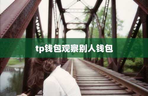 tp钱包观察别人钱包
