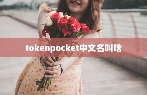 tokenpocket中文名叫啥
