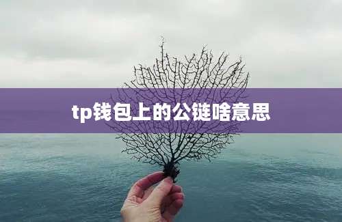 tp钱包上的公链啥意思