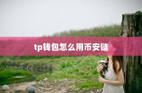 tp钱包怎么用币安链