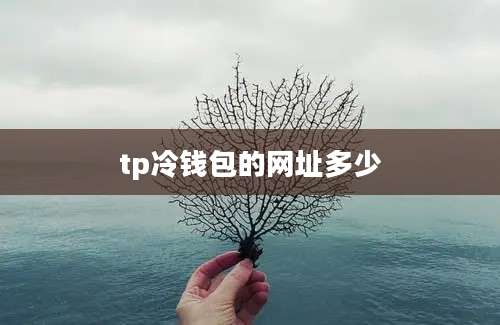 tp冷钱包的网址多少