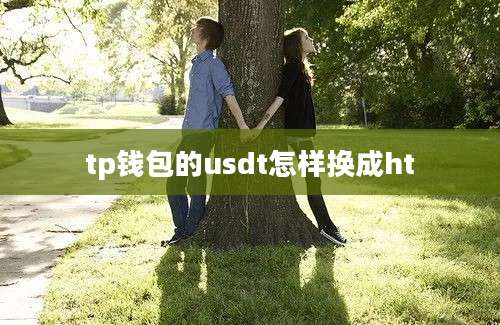 tp钱包的usdt怎样换成ht