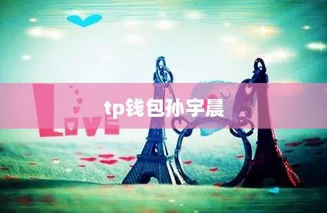 tp钱包孙宇晨