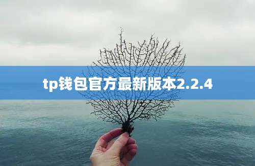 tp钱包官方最新版本2.2.4