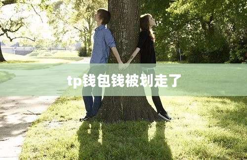tp钱包钱被划走了