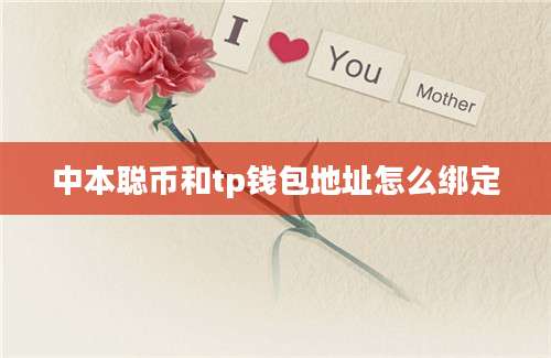 中本聪币和tp钱包地址怎么绑定