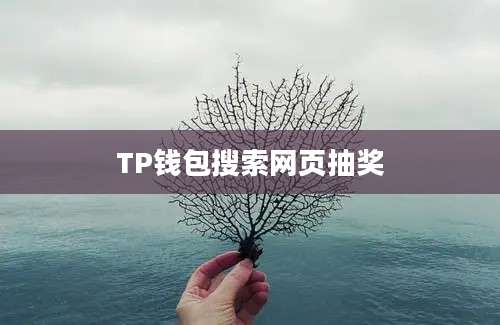 TP钱包搜索网页抽奖