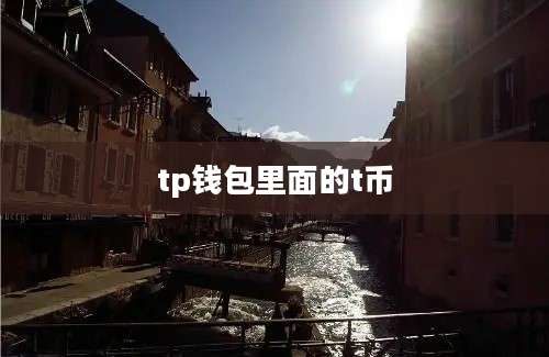 tp钱包里面的t币