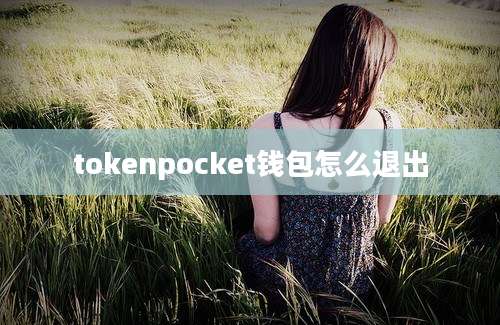 tokenpocket钱包怎么退出