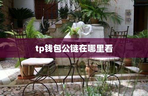 tp钱包公链在哪里看