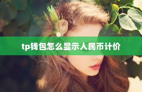 tp钱包怎么显示人民币计价