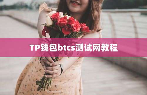 TP钱包btcs测试网教程
