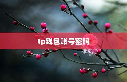 tp钱包账号密码