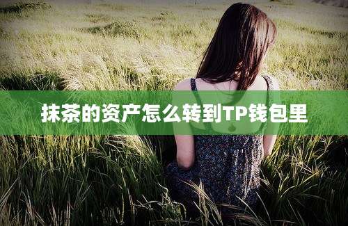 抹茶的资产怎么转到TP钱包里