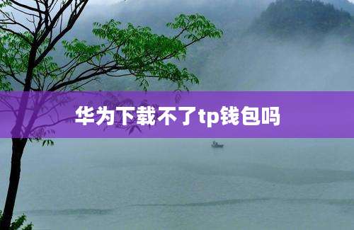 华为下载不了tp钱包吗