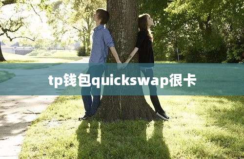 tp钱包quickswap很卡